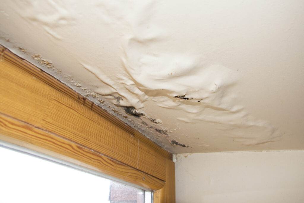 Can a Roof Leak Lead to a Roof Collapse?