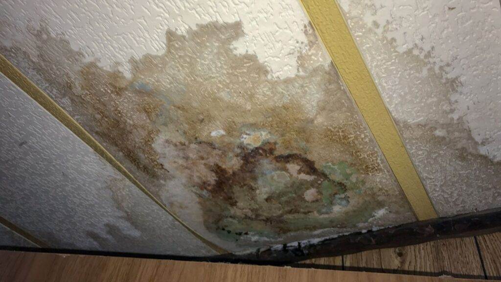 How to prevent mold growth from a leaky roof