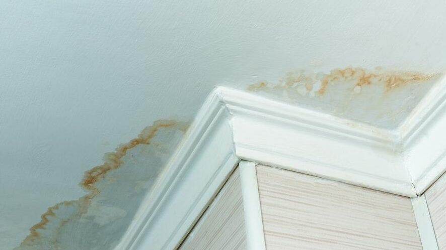 Who to Contact for a Water Leak in My Ceiling Who to Contact for a Water Leak in My Ceiling