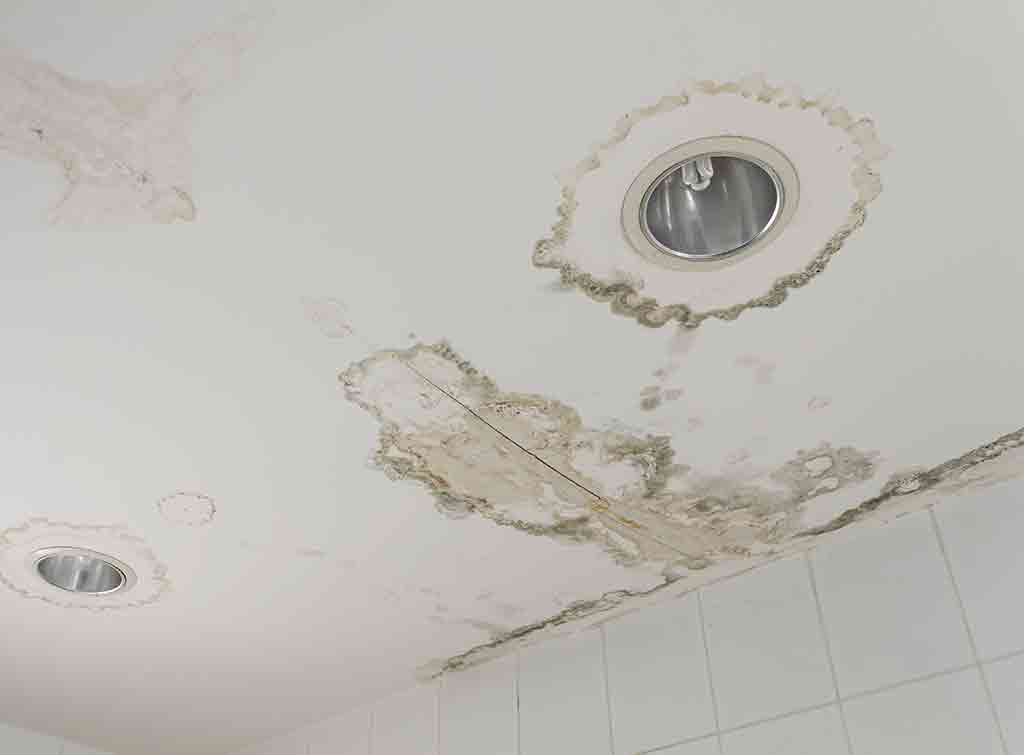 Who to Contact for a Water Leak in My Ceiling Who to Contact for a Water Leak in My Ceiling