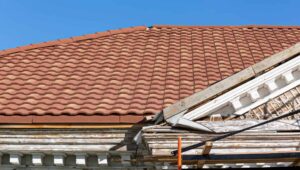 roof shingles